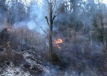 Incendio nel bosco a Paularo
