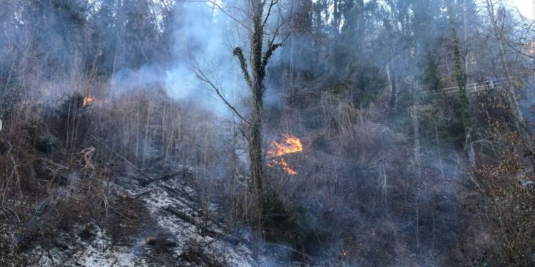 Incendio nel bosco a Paularo