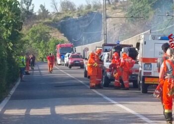 Incendio sul Carso triestino, sospesa la linea ferroviaria
