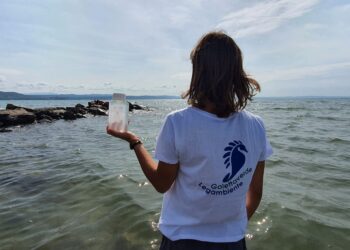 Inquinate le acque del fiume Stella