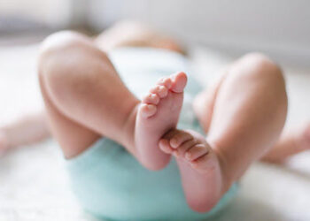 Intesa tra Trentino e Fvg su politiche familiari e natalità