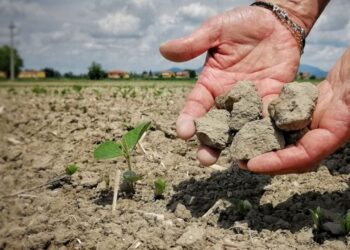 Irrigazione, 18 milioni per gli invasi