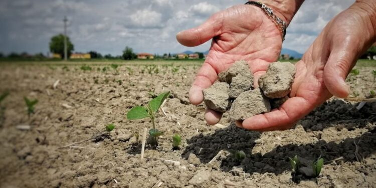 Irrigazione, 18 milioni per gli invasi