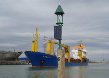 L’Alto Adriatico invaso da 91 specie aliene