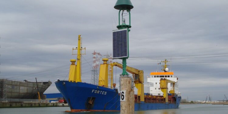 L’Alto Adriatico invaso da 91 specie aliene