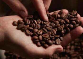 La torrefazione Oro Caffè apre le porte al pubblico