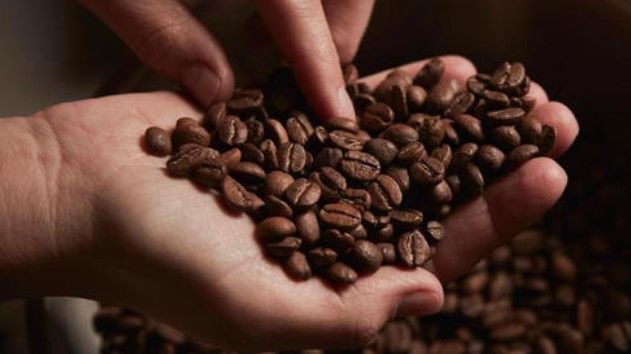 La torrefazione Oro Caffè apre le porte al pubblico