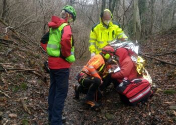 Malore nel bosco, recuperato dall’elisoccorso
