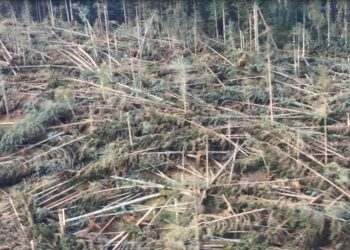 Maltempo, 1,7 milioni per interventi urgenti