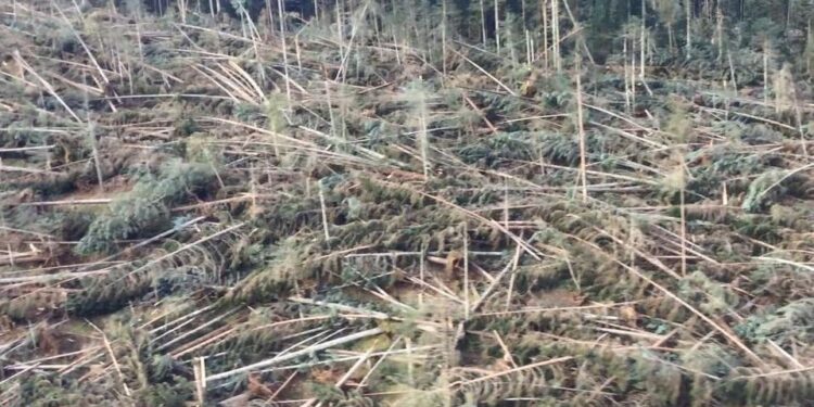 Maltempo, 1,7 milioni per interventi urgenti