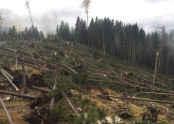 Maltempo: 43 milioni per interventi prioritari