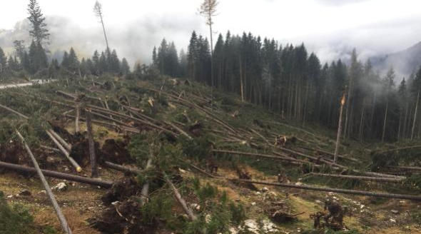 Maltempo: 43 milioni per interventi prioritari