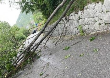 Maltempo, alberi crollati, oltre 100 richieste ai Vigili del fuoco in Fvg