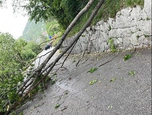 Maltempo, alberi crollati, oltre 100 richieste ai Vigili del fuoco in Fvg