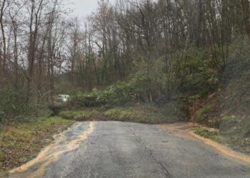 Maltempo, frane e allagamenti