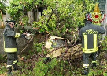 Maltempo: in Fvg vento forte, alberi sradicati e allagamenti