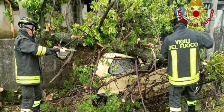 Maltempo: in Fvg vento forte, alberi sradicati e allagamenti