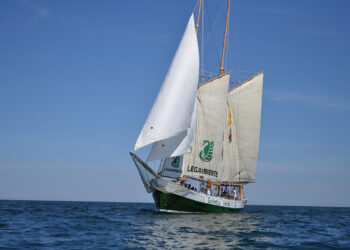 Mare inquinato vicino alle foci dell’Isonzo e dello Stella