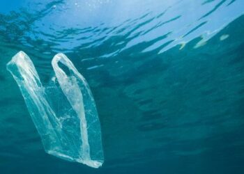 Mare pulito, 100 mila euro ai Comuni costieri Fvg