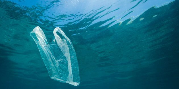 Mare pulito, 100 mila euro ai Comuni costieri Fvg