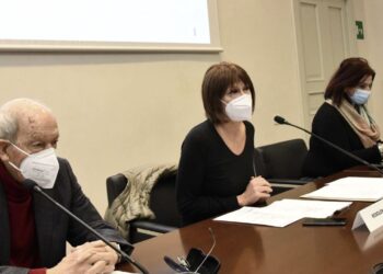 Masterplan per il collocamento delle persone con disabilità