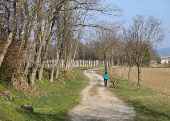 Moimacco e Bottenicco unite da natura, prose e poesia