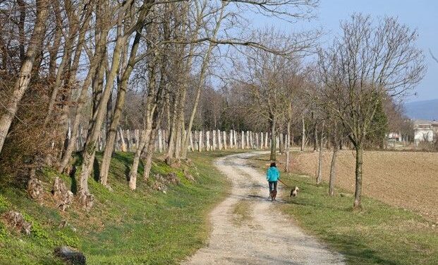 Moimacco e Bottenicco unite da natura, prose e poesia