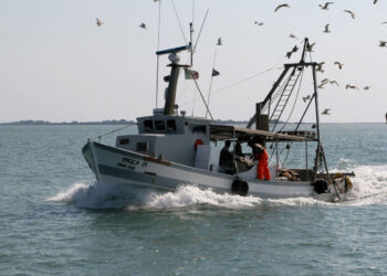 No alle limitazioni Ue alla pesca a strascico, le marinerie si mobilitano