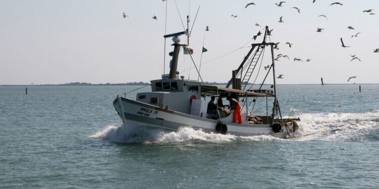 No alle limitazioni Ue alla pesca a strascico, le marinerie si mobilitano