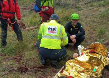 Nuovo incidente sul lavoro nel bosco