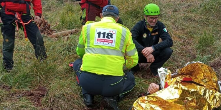 Nuovo incidente sul lavoro nel bosco