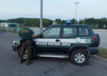 Parte la stagione della caccia