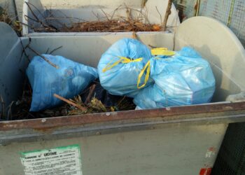 Partito il porta a porta, aumentano i rifiuti abbandonati