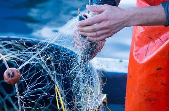 Pesca: 150mila euro per la sostenibilità