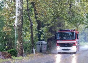 Pioggia e vento forte