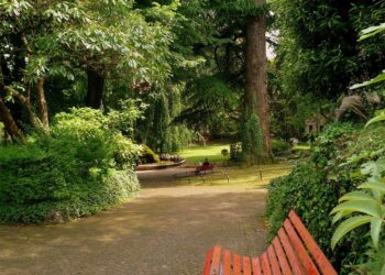 Pnrr, Udine partecipa con altri 5 progetti