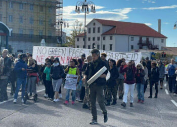 Porto, a Trieste i lavoratori dicono no al tampone gratuito