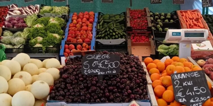 Prezzi, a Udine in un anno +7,3%