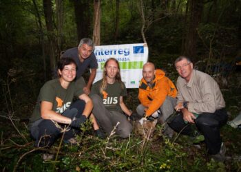 Primo sciacallo dorato catturato in natura