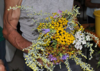Processioni e mazzi di fiori per l’Assunta