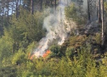 Quattro focolai ancora attivi in Regione