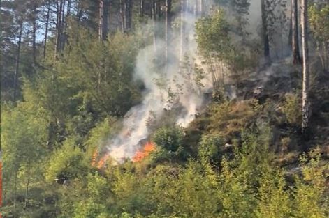 Quattro focolai ancora attivi in Regione