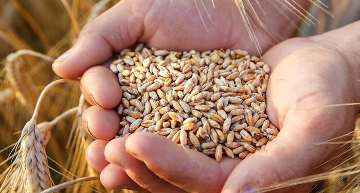 Ringraziamento, S. Messa con l’Arcivescovo in cattedrale