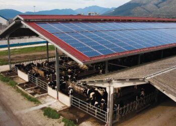 Rinnovabili, bando per le aziende agricole Fvg