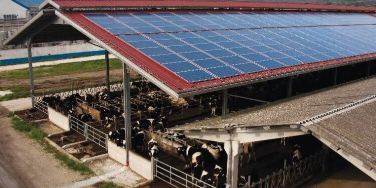 Rinnovabili, bando per le aziende agricole Fvg