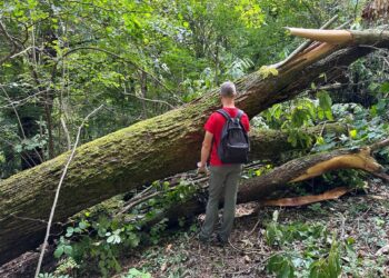 Schianti sui sentieri della regione, l’allerta del Cai Fvg