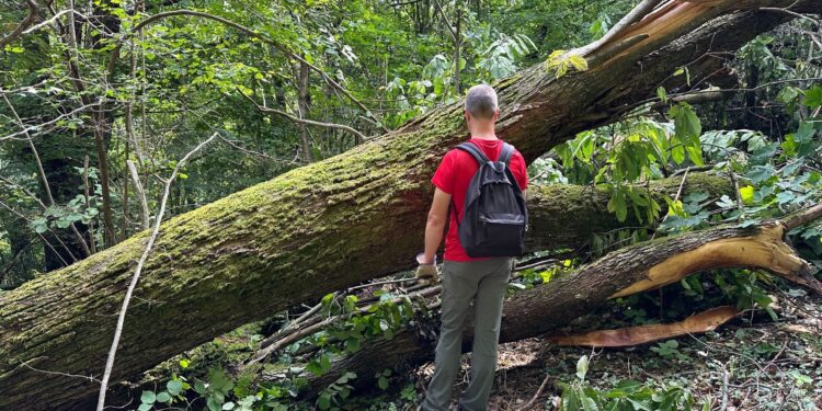 Schianti sui sentieri della regione, l’allerta del Cai Fvg