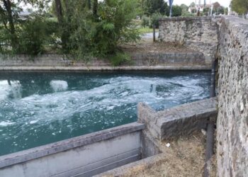 Schiuma nel Ledra, nessun pericolo per i pesci