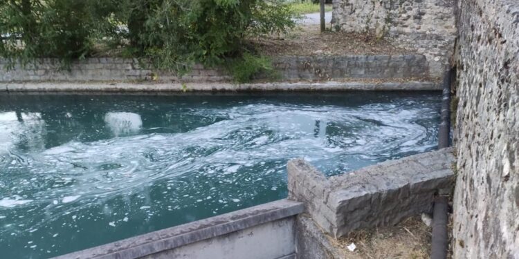 Schiuma nel Ledra, nessun pericolo per i pesci