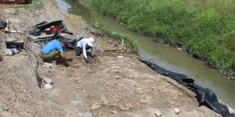 Scoperti resti romani a Latisana